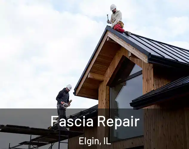  Fascia Repair Elgin, IL