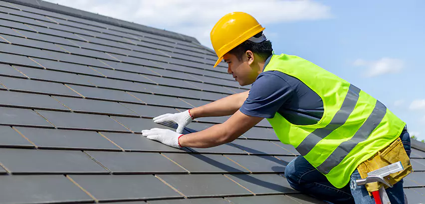 Professional Hail Damage Roof Repair Services in Elgin, IL