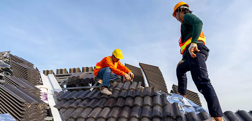 Professional Roofing Services in Elgin, IL