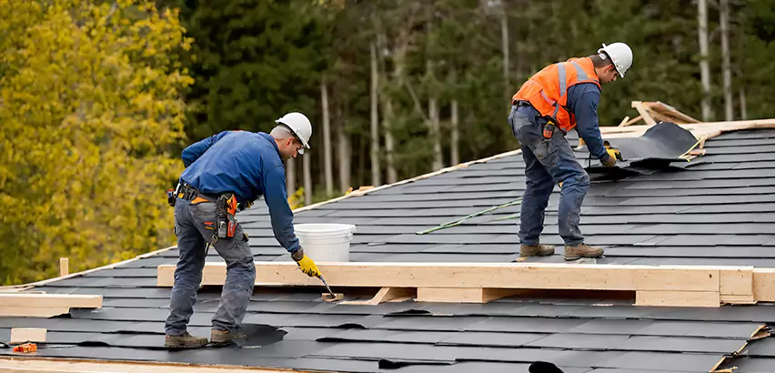Architectural Shingle Repair Elgin