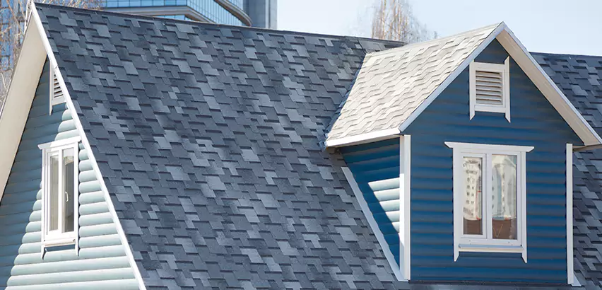 Shingle Roof Maintenance in Elgin