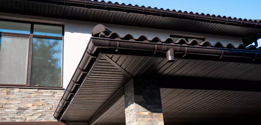 Soffit Damage Repair in Elgin