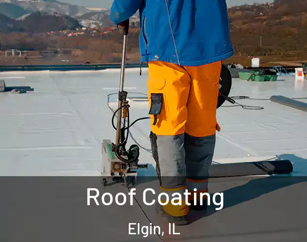  Roof Coating Elgin, IL