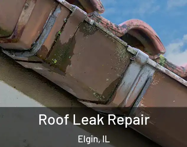  Roof Leak Repair Elgin, IL
