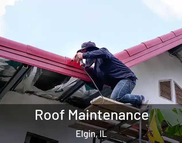  Roof Maintenance Elgin, IL
