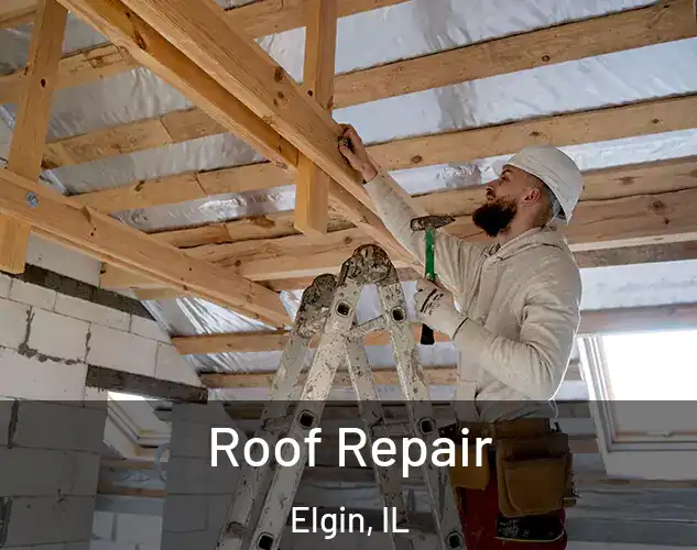  Roof Repair Elgin, IL