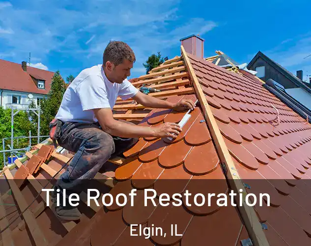  Tile Roof Restoration Elgin, IL